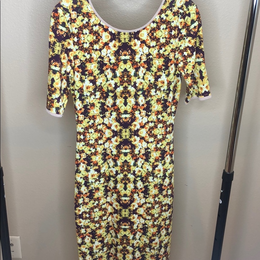 Sam & Lavi Anthropologie floral Midi dress